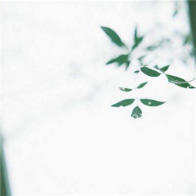 舰姬收藏手游(暂未上线)v1.0 安卓版